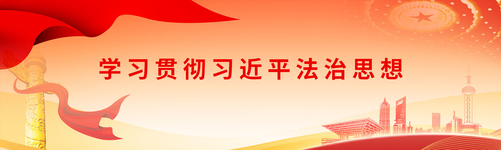 习近平法治思想